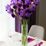 Appartement Avalonrestapartments
