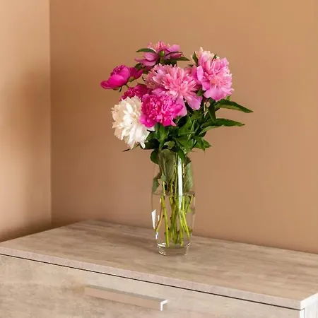 Avalonrestapartments *