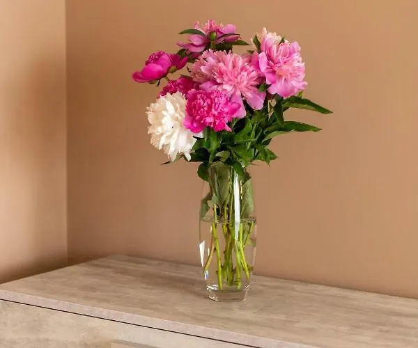 Avalonrestapartments *